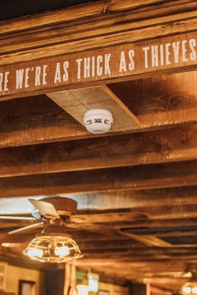 40 Thieves Gallery 42